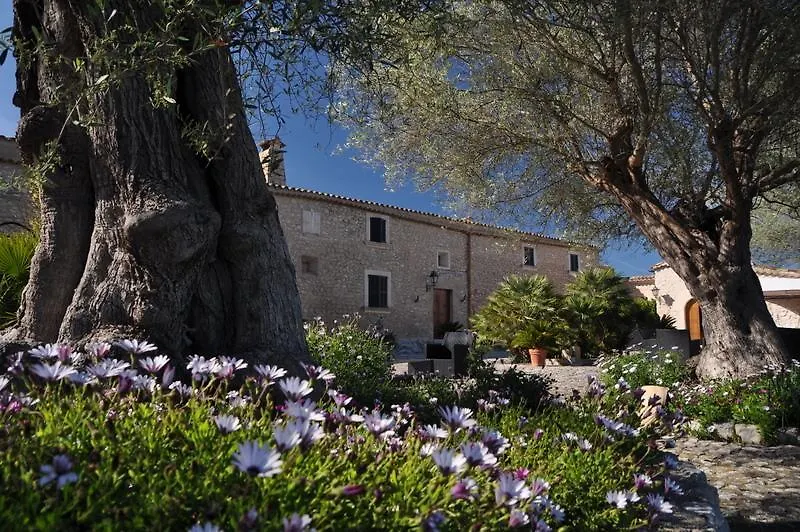 Puig Molto Pensionat Montuiri  Spanien